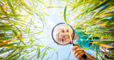 Afinal, qual é o mundo que queremos a partir da educação? Afinal, qual é o mundo que queremos a partir da educação?