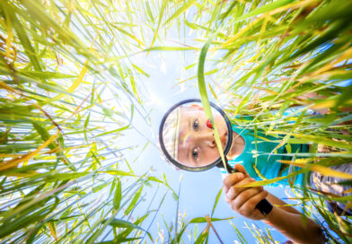 Afinal, qual é o mundo que queremos a partir da educação? Afinal, qual é o mundo que queremos a partir da educação?